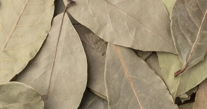 Top view, closeup of dried bay leaves. Food backdrop