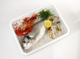 Fischkiste mit Dorade, Seegras, Austern und Garnelen auf weißem Hintergrund. Styropor Kiste mit Fisch und Meeresfrüchte auf Eis.