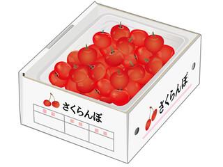 さくらんぼ箱入り