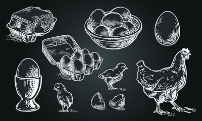 Chicken farm fresh eggs. Vector set of sketch design elements. Hen, poultry and little chicken, isolated on dark background. Vector hand drawn vintage engraving illustration for poster, label and menu