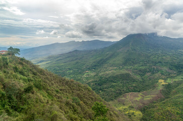 Obraz na płótnie Canvas La jungle et forêt avec ses ponts sauvages de la vallée cocora dans le quindio en colombie