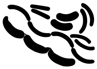 Sausages big and small in a set. Vector image.