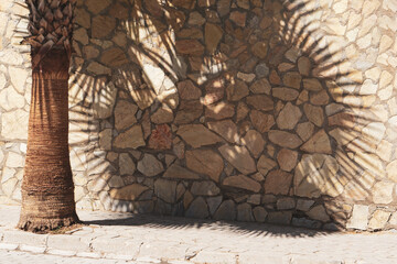The stone wall is textured with a shadow from the palm tree