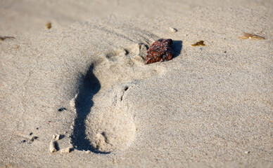 Ein Fußabdruck im nassen Sand  von einem Linken Fuß mit einem Laubbaumblatt.