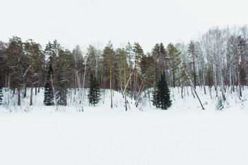 Frozen lake in the middle of beautiful winter forest. Winter landscape.