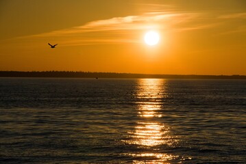 View of the Baltic Sea in Kołobrzeg.


