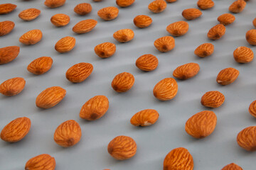 Almonds isolated. Walnuts on blue background. Brazilian nuts Almond. Arranged on a light blue background. Macro.