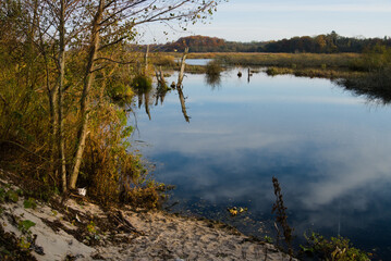 Landscape of the eastern ecopark located in the salt swamp in the municipality of Kołobrzeg.