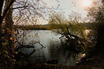 Landscape of the eastern ecopark located in the salt swamp in the municipality of Kołobrzeg.