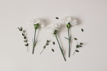 Feminine floral frame, composition. White carnation flowers and green eucalyptus leaves and...