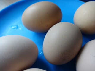 Boiled Eggs in a Blue Plate