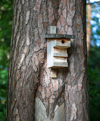 Ein aus Holzresten gebauter Nistkasten für die Vögel aus Bruthilfe.
