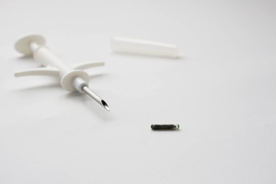 Chip and device for microchipping close-up on a white background - Powered by Adobe