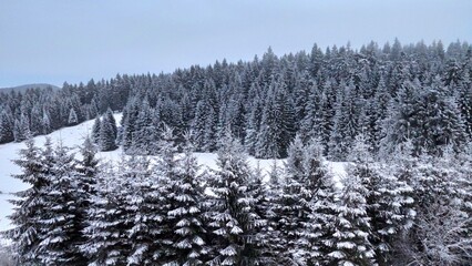 Schnee im Winter Winter in Winterberg