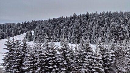 Schnee im Winter Winter in Winterberg