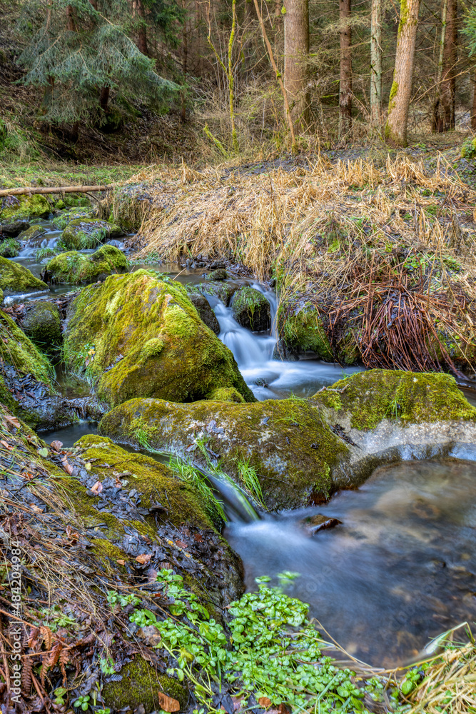 Wall mural small forest creek in a woodland, long exposure photo, vysocina, highland czech republic, europe