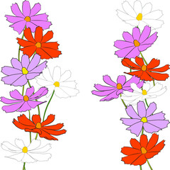 Border of cosmos flower branch vector simple illustration isolated on white background. Outline hand drawn colored version. Floral vector for childrens illustration, summer design.