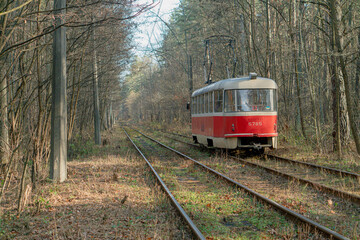 Naklejka na ściany i meble Red tram. The red tram rides along the forest. Ukraine . Kiev.