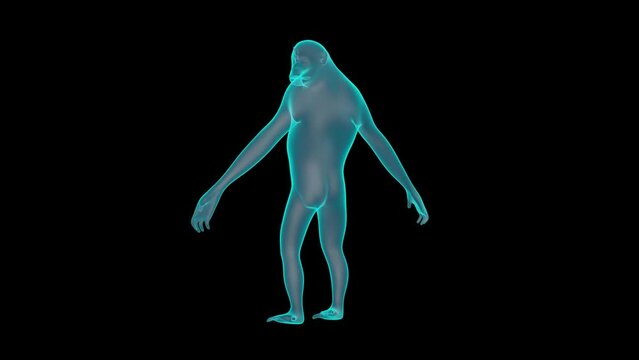 A Beautiful 3D Chimpanzee Holograph turntable render