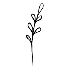 Black herb. Vector clipart. Hand drawn	