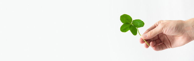 St. Patrick's Day banner. A male hand holding a four leaf clover on white background. Good for luck...