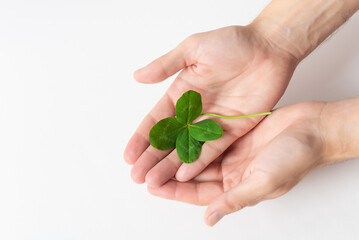A four leaf clover in male's hands on white background. Good for luck or St. Patrick's day....