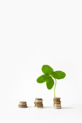 Fototapeta na wymiar Coins and four leaf clover, isolated on white background. Successful investment, money savings, wealth, financial growth concept. Good luck, shamrock, abundance, income growth