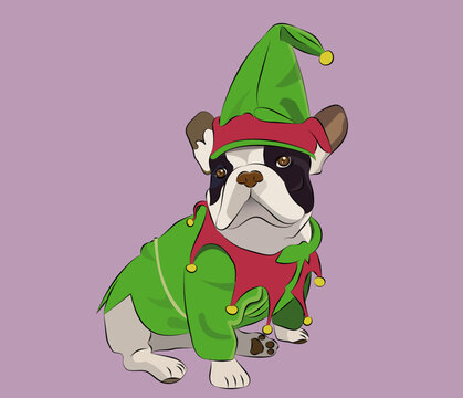 perro con disfraz de navidad