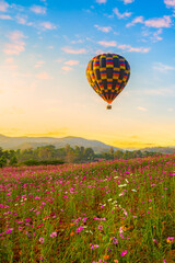 Color balloon over Beautiful Cosmos Flower in park 