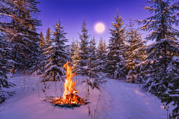 An evening landscape with a bonfire in the snow, in winter on the edge of the forest among young fir trees, a full moon in the sky with a purple glow. - 484213312