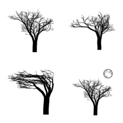 Tree Flat Icon Set Isolated On White Background