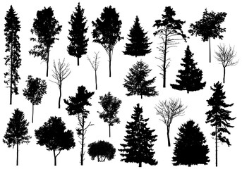 Silhouette of set different trees. Collection of coniferous evergreen forest trees, deciduous trees. Vector illustration - obrazy, fototapety, plakaty