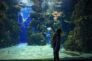 Woman silhouette observing tropical fishes of coral reef sea aquarium through a giant glass. Bluespine Unicornfish, Clown triggerfish and Porkfish. Sea turtle, blackchin guitarfish and sharks swimming