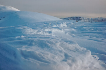 Texture of wind blown snow in winter