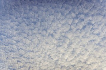 abstract bacground of whte clould sky, Nature sky backgrounds.