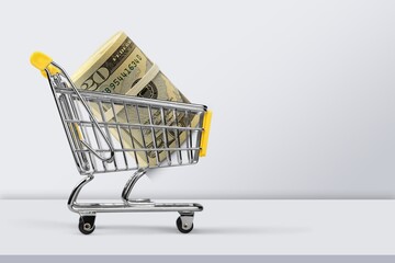 Money for shopping, in a shopping cart on light background.