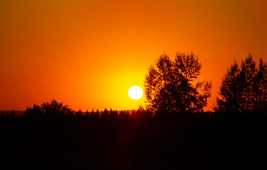 Golden summer sunset. The sun sets over the taiga in Siberia. Banner, cover, flyer, layout design.
