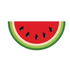 sliced water melon fruit vector design