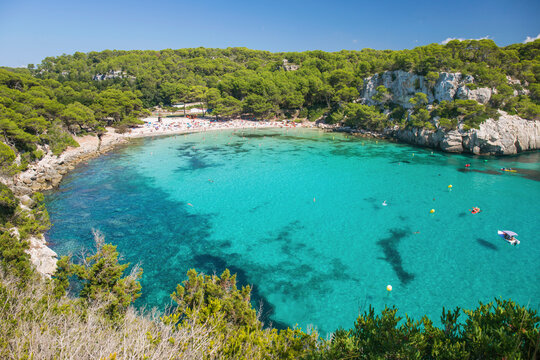 View over the turquoise waters of Cala Macarella to pine-fringed sandy beach, Cala Galdana, Menorca, Balearic Islands