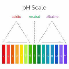  Horizontal pH scale for measuring acid alkaline balance. Chemical value test. Infographics with indicator chart. Vector illustration 