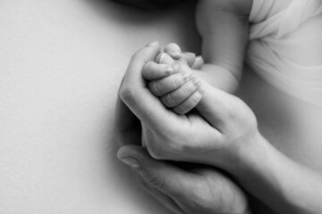 The hand of a sleeping newborn in the hand of mother and father close-up. Tiny fingers of a newborn. The family is holding hands. Studio macro photography. Concepts of family and love. Black white.