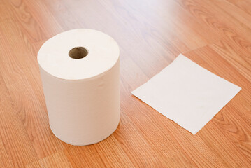 Roll of kitchen paper and a sheet of paper on the floor to clean it.