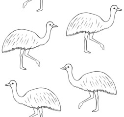 Vector seamless pattern of hand drawn doodle sketch emu ostrich isolated on white background