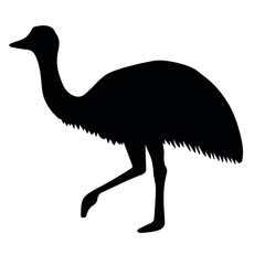 Vector hand drawn emu ostrich silhouette isolated on white background