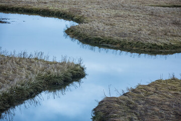 Dosewallips State Park River Fine Art