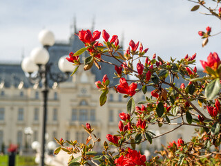 Palace of Culture in Iassy in Romania