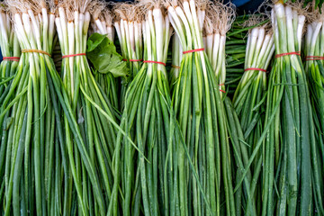 Bundles of fresh green onions for sale in the marketplace