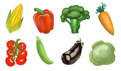 Vegetable decorative set isolated on white background. Golden corn, red pepper, green broccoli, cherry tomato, pea, velvet eggplant and cabbage. Realistic hand drawn vegetable illustration set