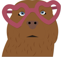The brown dog with heart-shaped glasses