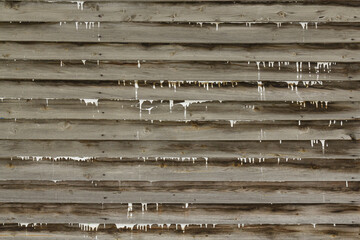 Background in the form of old wooden boards with streaks of paint.